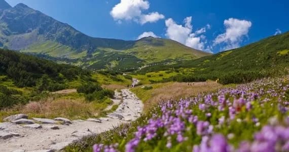 Wakacje w górach gdzie znaleźć najlepsze miejsca i atrakcje w Polsce Wakacje w górach gdzie znaleźć najlepsze miejsca i atrakcje w Polsce