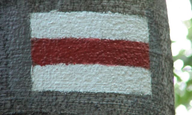Kolor szlaku co oznacza? Odkryj znaczenie kolorów tras górskich Kolor szlaku co oznacza? Odkryj znaczenie kolorów tras górskich