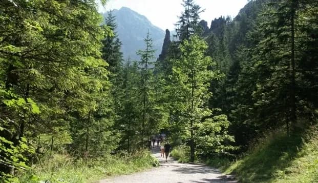 Jak łatwo kupić bilety online do Doliny Kościeliskiej: praktyczny poradnik Jak łatwo kupić bilety online do Doliny Kościeliskiej: praktyczny poradnik