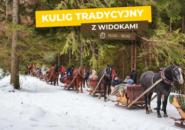 Wszystko o kuligach w Dolinie Kościeliskiej: atrakcje, ceny i rezerwacja 2024 Wszystko o kuligach w Dolinie Kościeliskiej: atrakcje, ceny i rezerwacja 2024