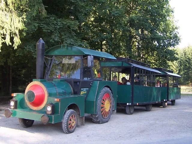 Ceny ciuchci w Dolinie Chochołowskiej: ile kosztuje przejazd? Ceny ciuchci w Dolinie Chochołowskiej: ile kosztuje przejazd?