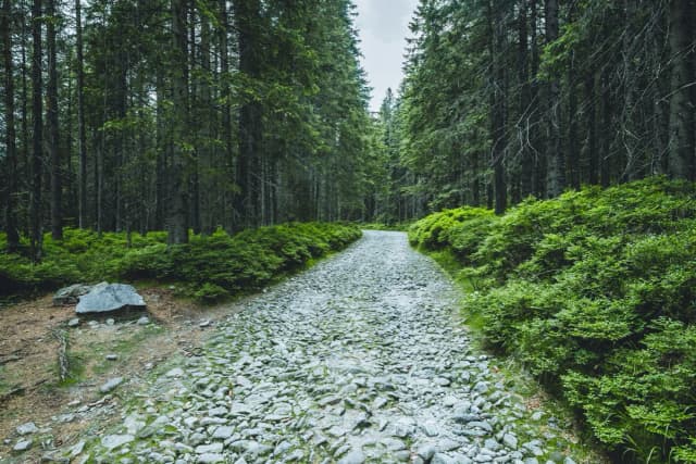 Szlak z Brzezin do Murowańca: Malownicza Trasa w Tatrach Szlak z Brzezin do Murowańca: Malownicza Trasa w Tatrach