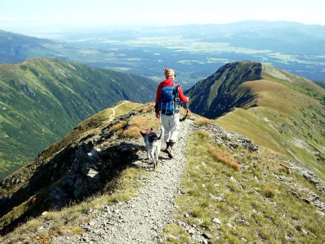 Łatwe szlaki na Słowacji: 5 malowniczych tras dla każdego Łatwe szlaki na Słowacji: 5 malowniczych tras dla każdego