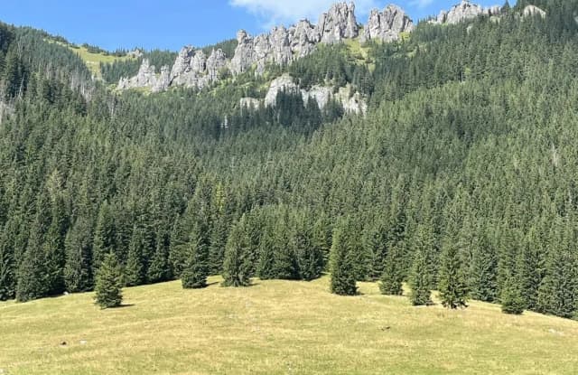 Siwa Polana i dolina Chochołowska: najłatwiejszy dojazd w Tatry Siwa Polana i dolina Chochołowska: najłatwiejszy dojazd w Tatry