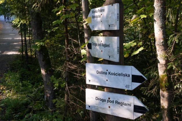 Jak przejść z Doliny Małej Łąki do Doliny Kościeliskiej - trasa, czas i porady Jak przejść z Doliny Małej Łąki do Doliny Kościeliskiej - trasa, czas i porady